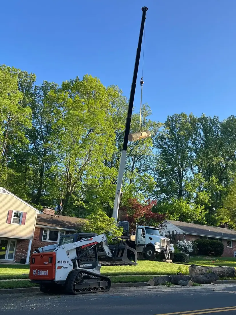 Green Tree Services crane lifting a tree section over a house