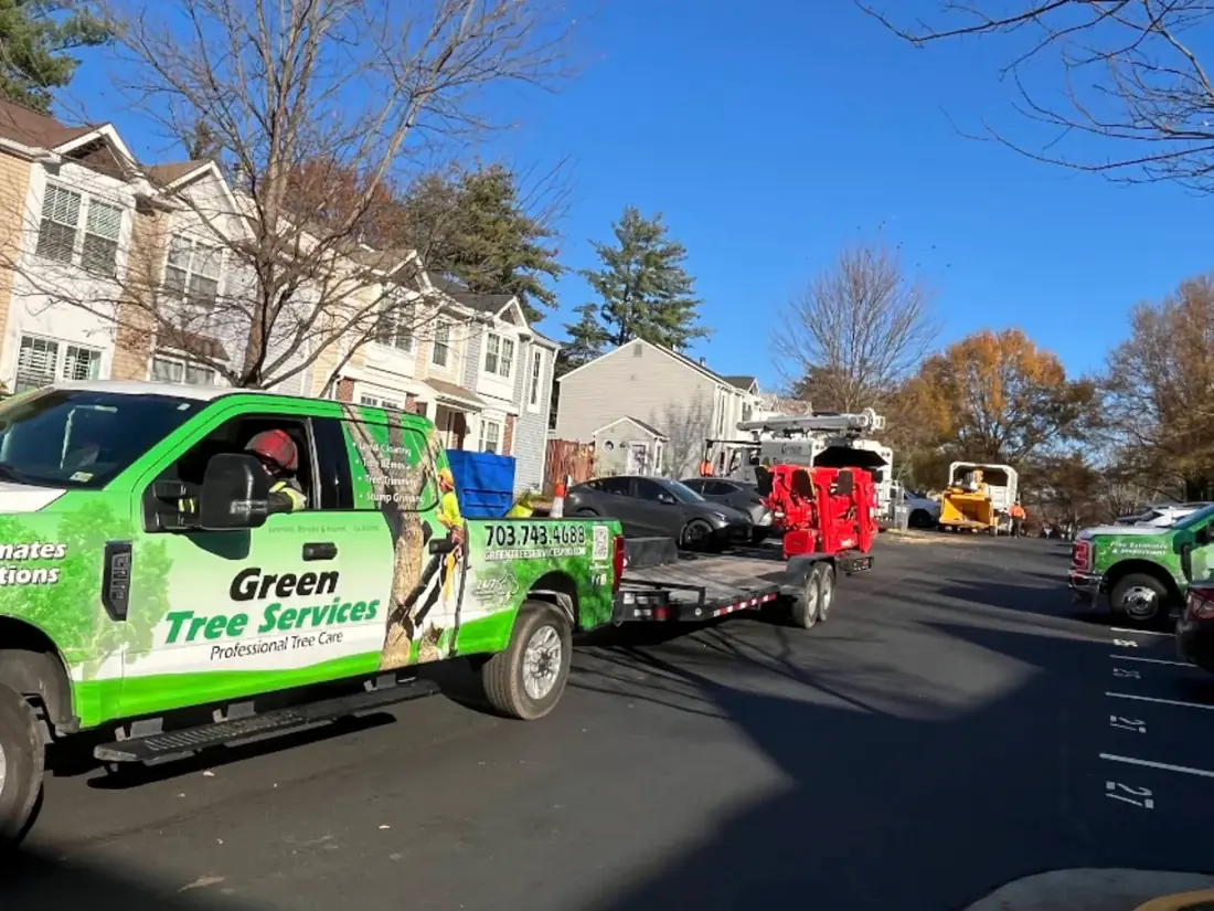 Green Tree Services truck and trailer