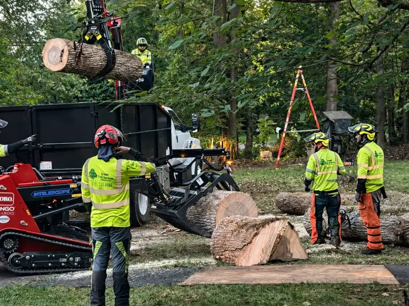 Green Tree Services crew and equipment at work