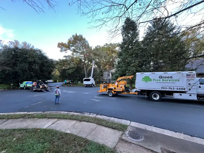 Green Tree Services tree work in Culpeper, VA