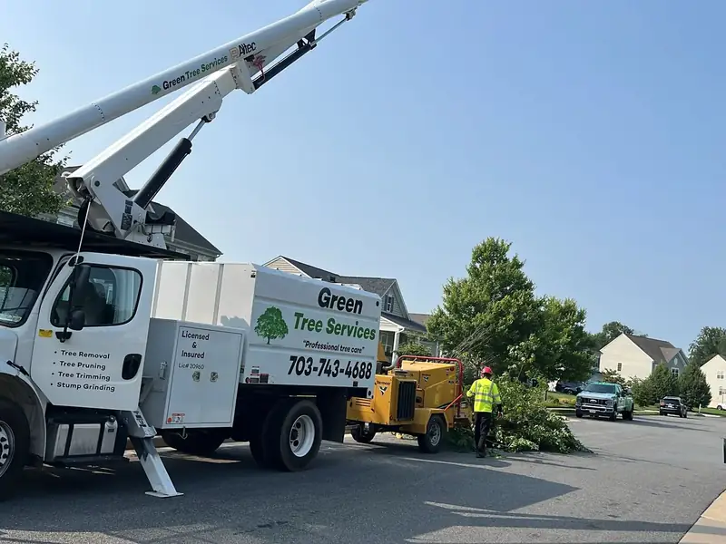 Green Tree Services crew and equipment at work