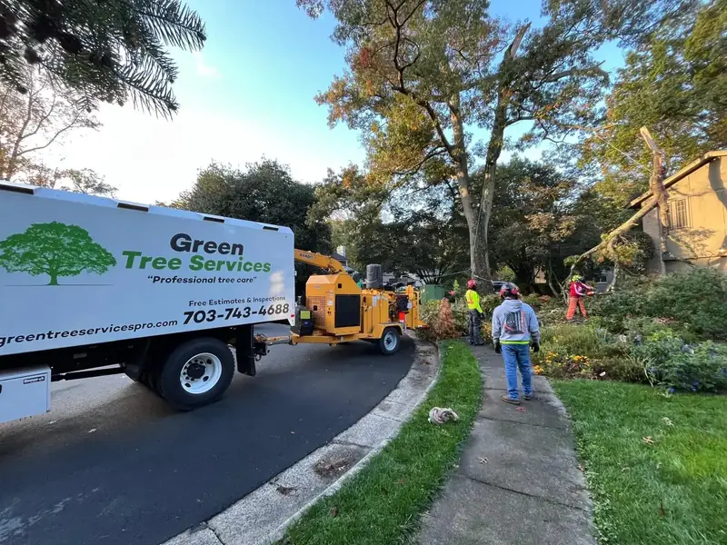 Green Tree Services tree work in Manassas, VA