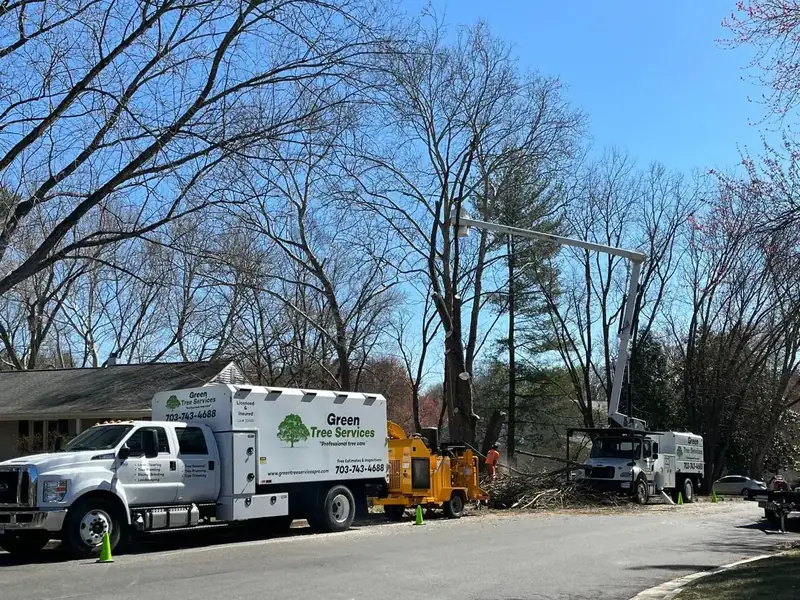 Green Tree Services tree work in Marshall, VA