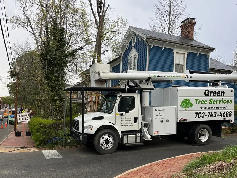 Green Tree Services tree work in Stafford, VA