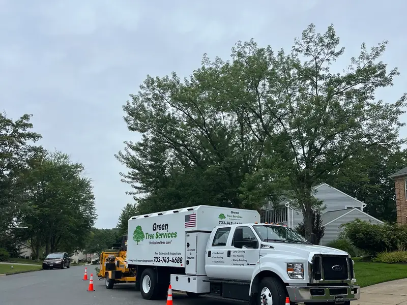 Green Tree Services tree work in Vienna, VA