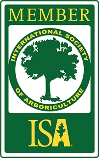 International Society of Arboriculture member