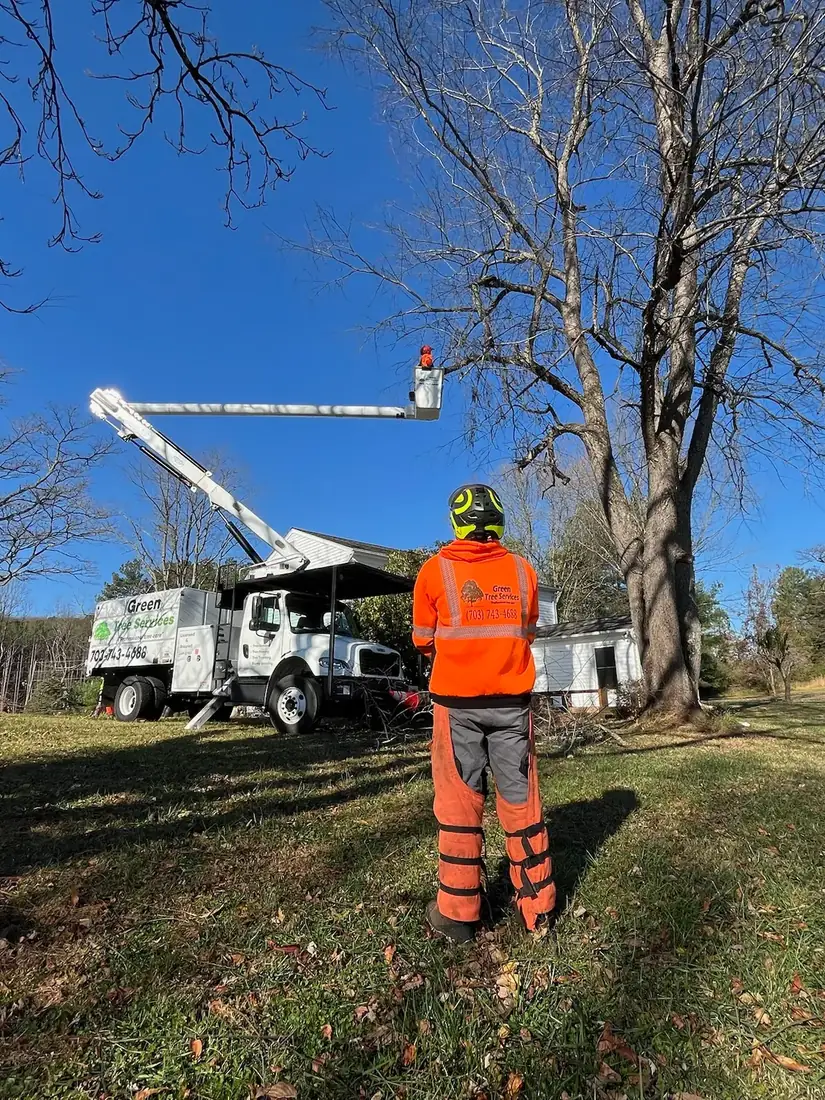 Bucket truck and crew working on a large property
