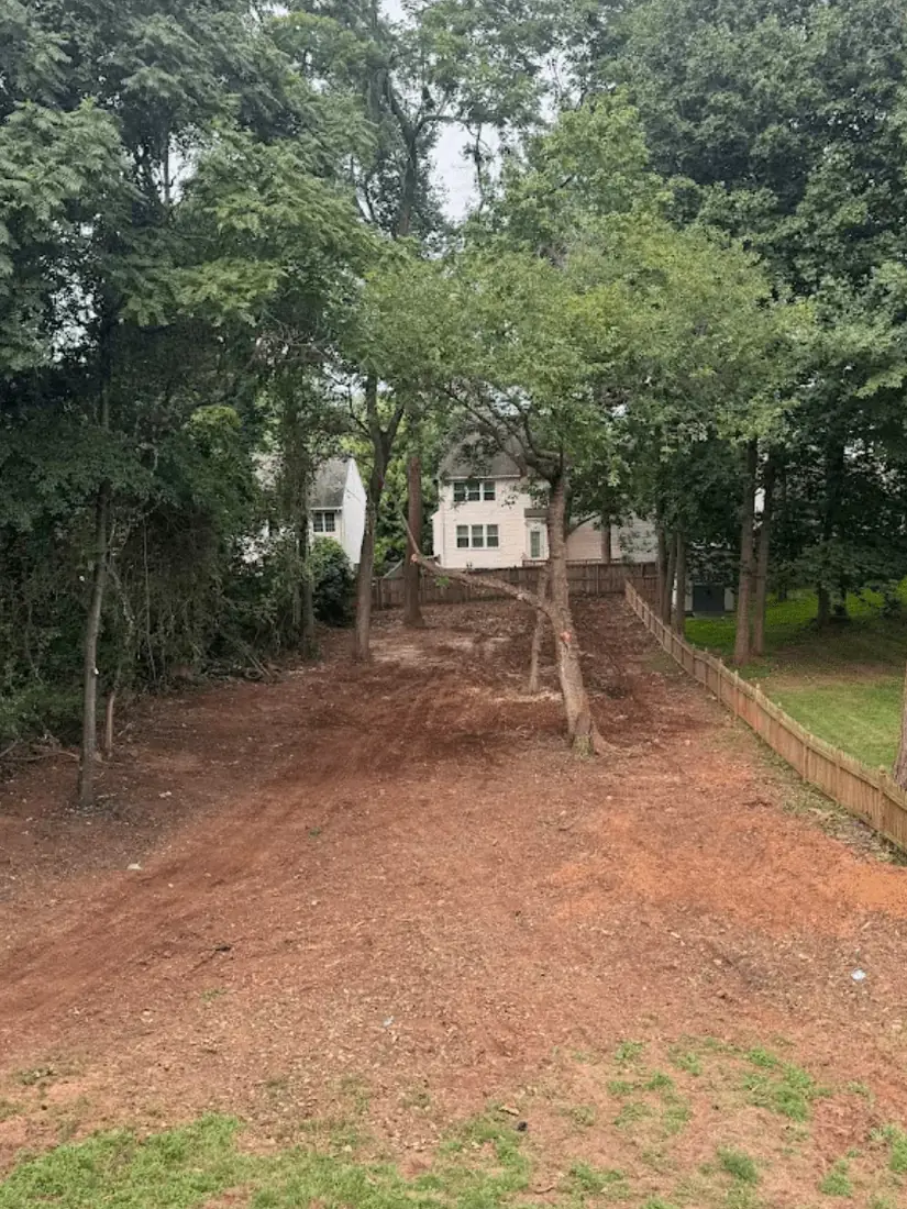 Freshly cleared strip of land along a fence line through the woods