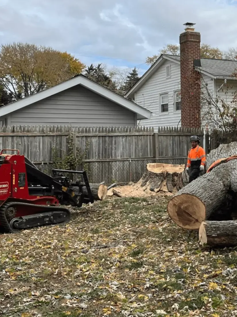 Compact loader moving large logs during a lot clearing job