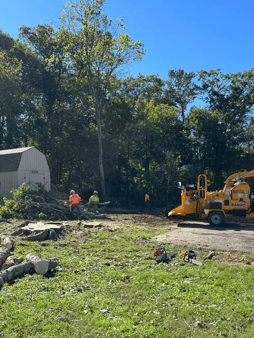 Green Tree Services crew clearing a lot with a chipper