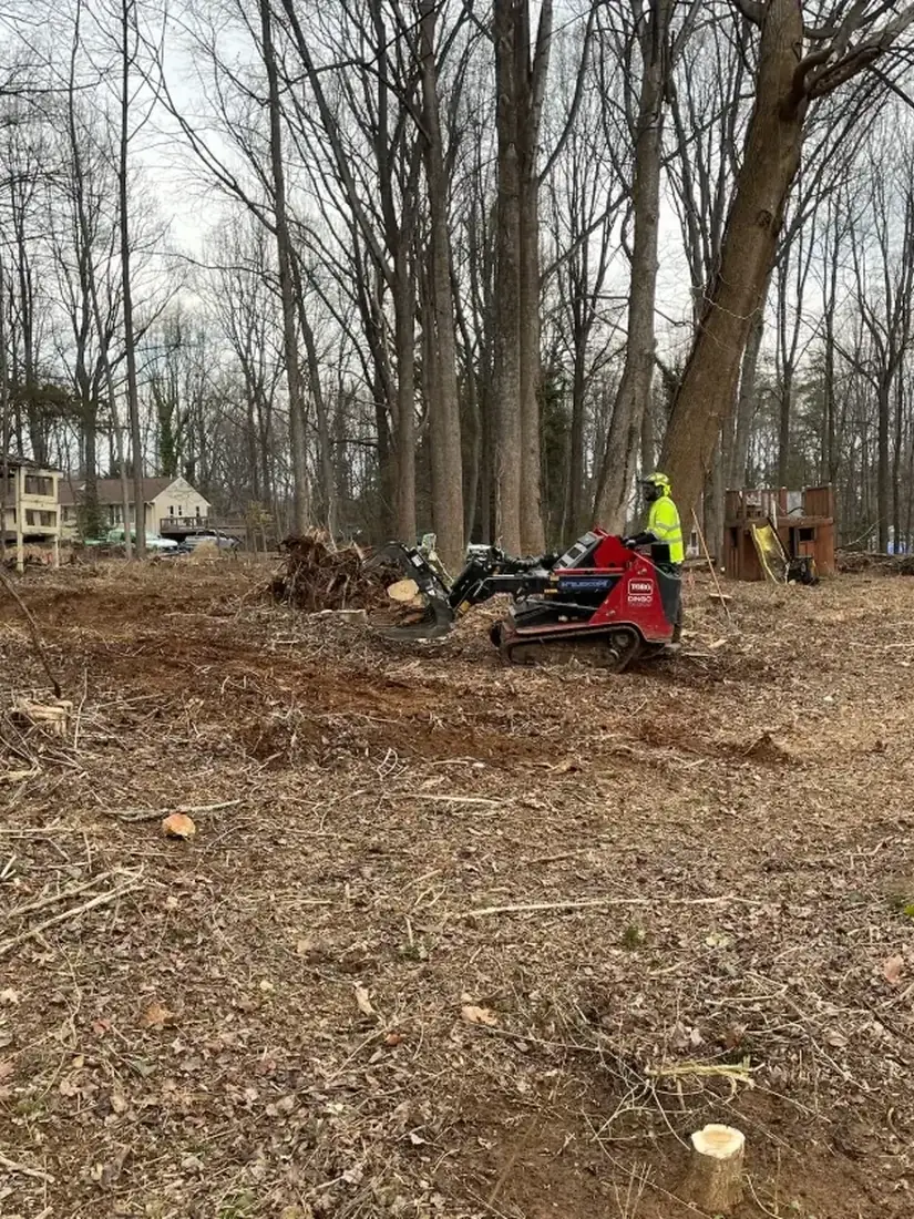 Crew and compact loader clearing brush in a wooded lot