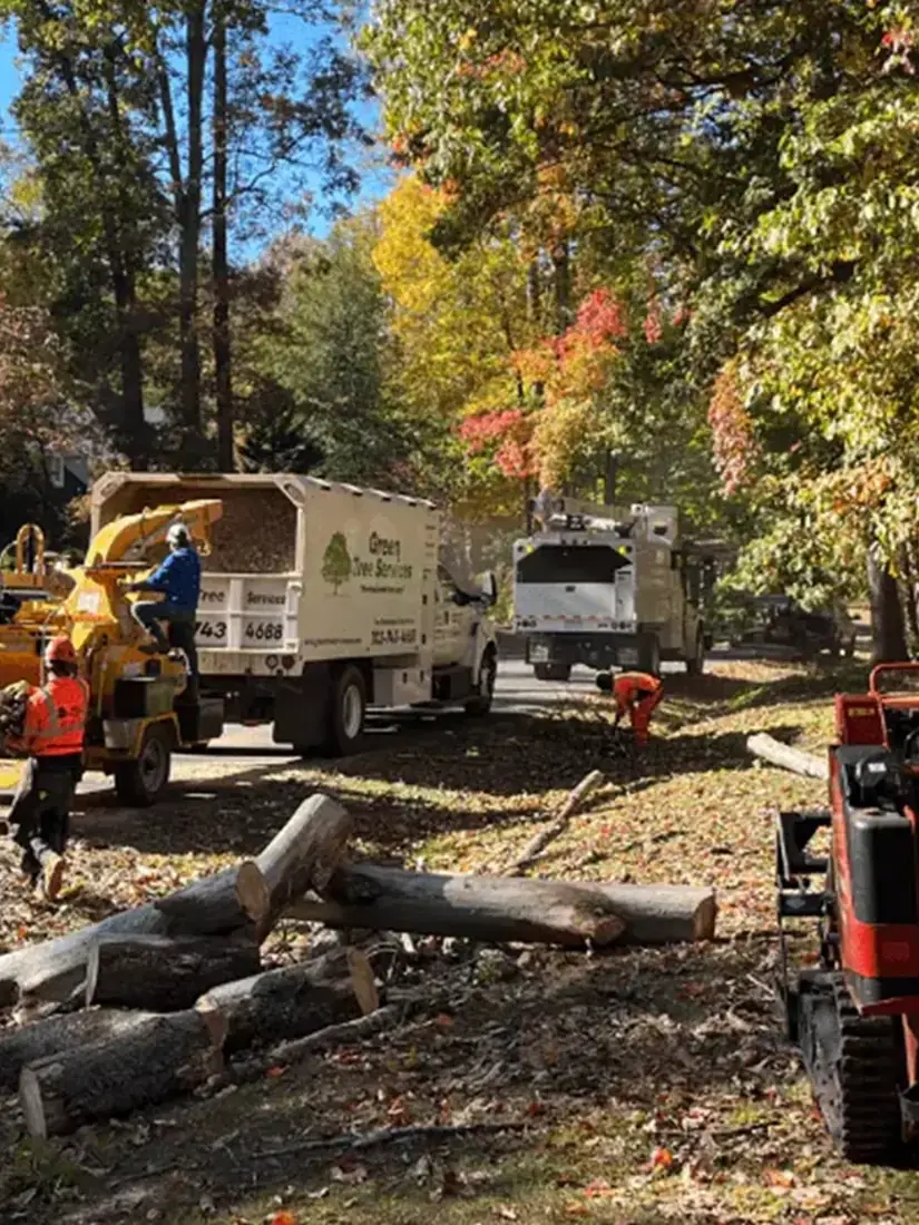 Crew cutting up and chipping a fallen tree on a residential street