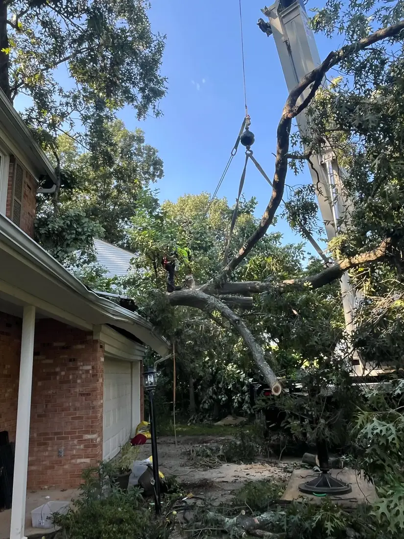 Crane lifting a broken hanging limb away from a house