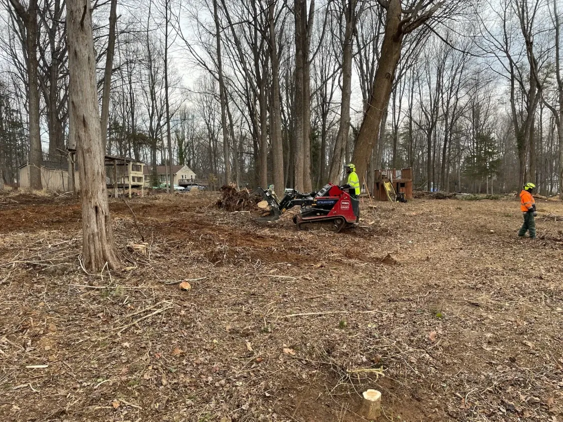 Compact loader clearing brush and stumps from a wooded lot