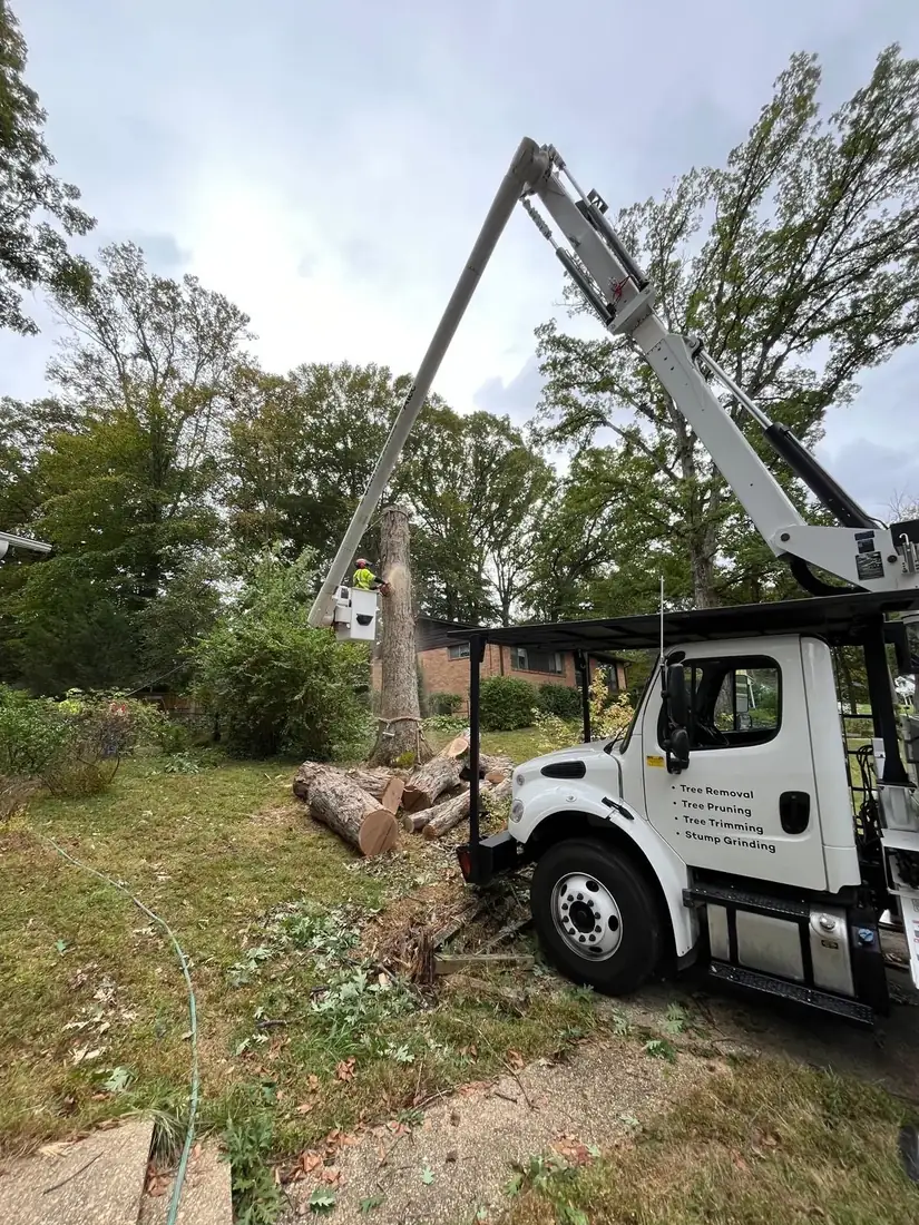 Green Tree Services bucket truck and cut logs at a Culpeper job