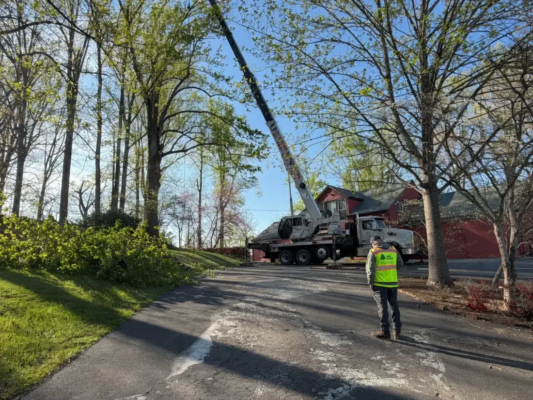 Green Tree Services crane truck set up for a large tree removal in Warrenton