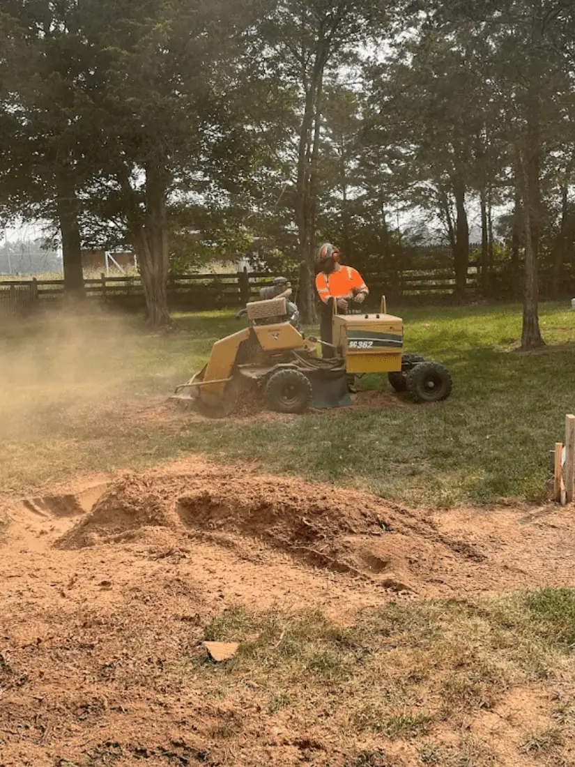 Stump grinder working a stump down in a backyard