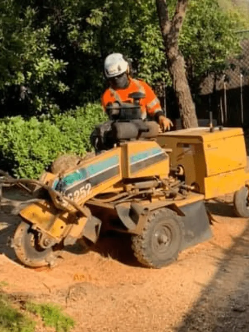 Compact stump grinder working beside a house and shed