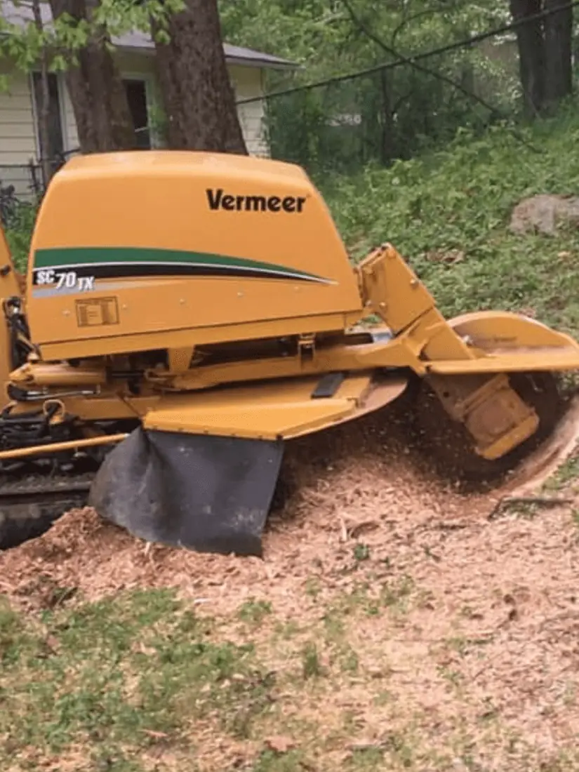 Tracked stump grinder beside a freshly ground stump