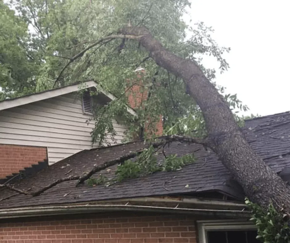 Large tree fallen onto a house roof after a storm