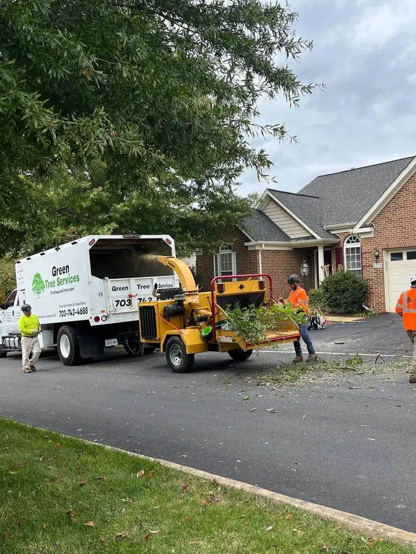 Crew chipping branches after trimming trees away from a house