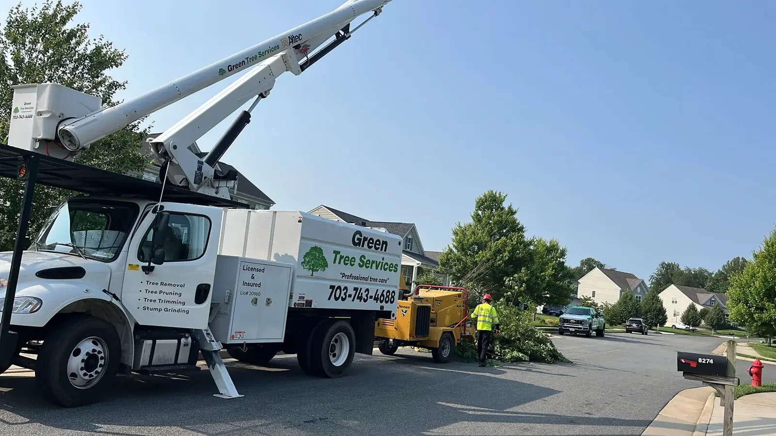 Green Tree Services bucket truck trimming a tree
