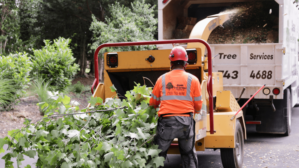 Tree trimming Warrenton