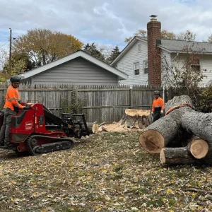 Tree Removal by Green Tree Services