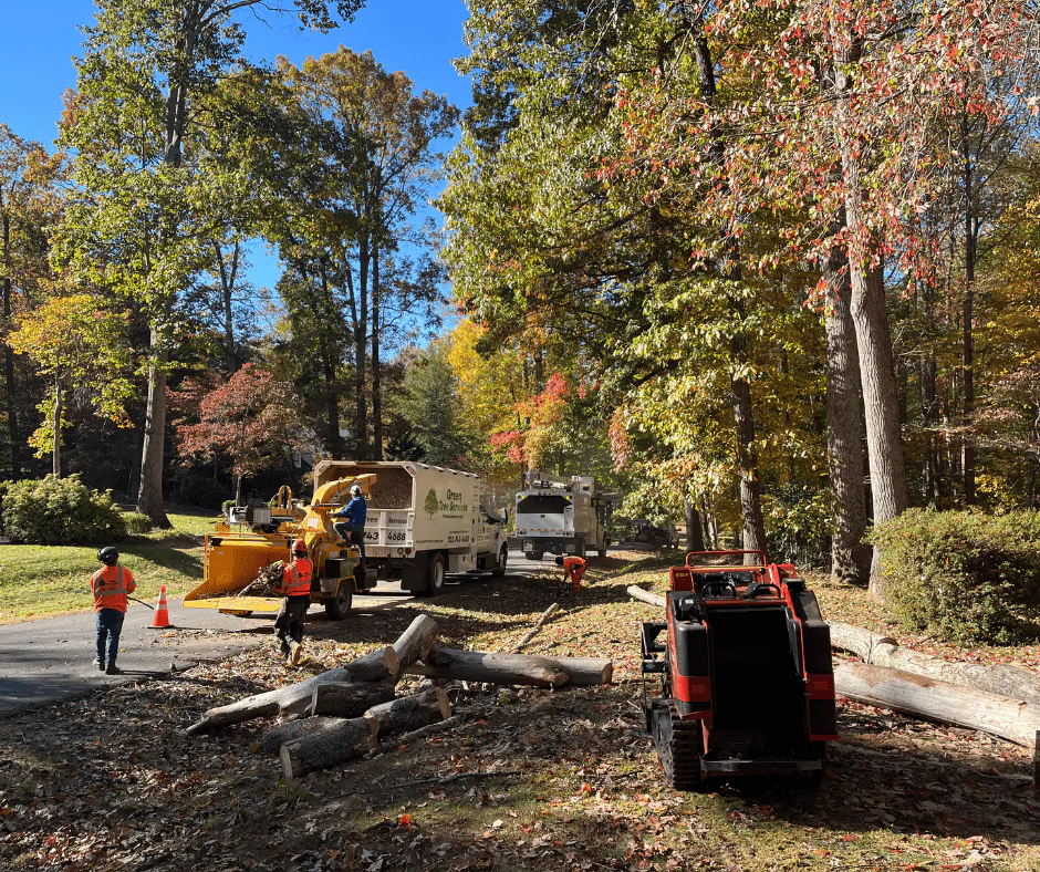 Tree Care Bealeton