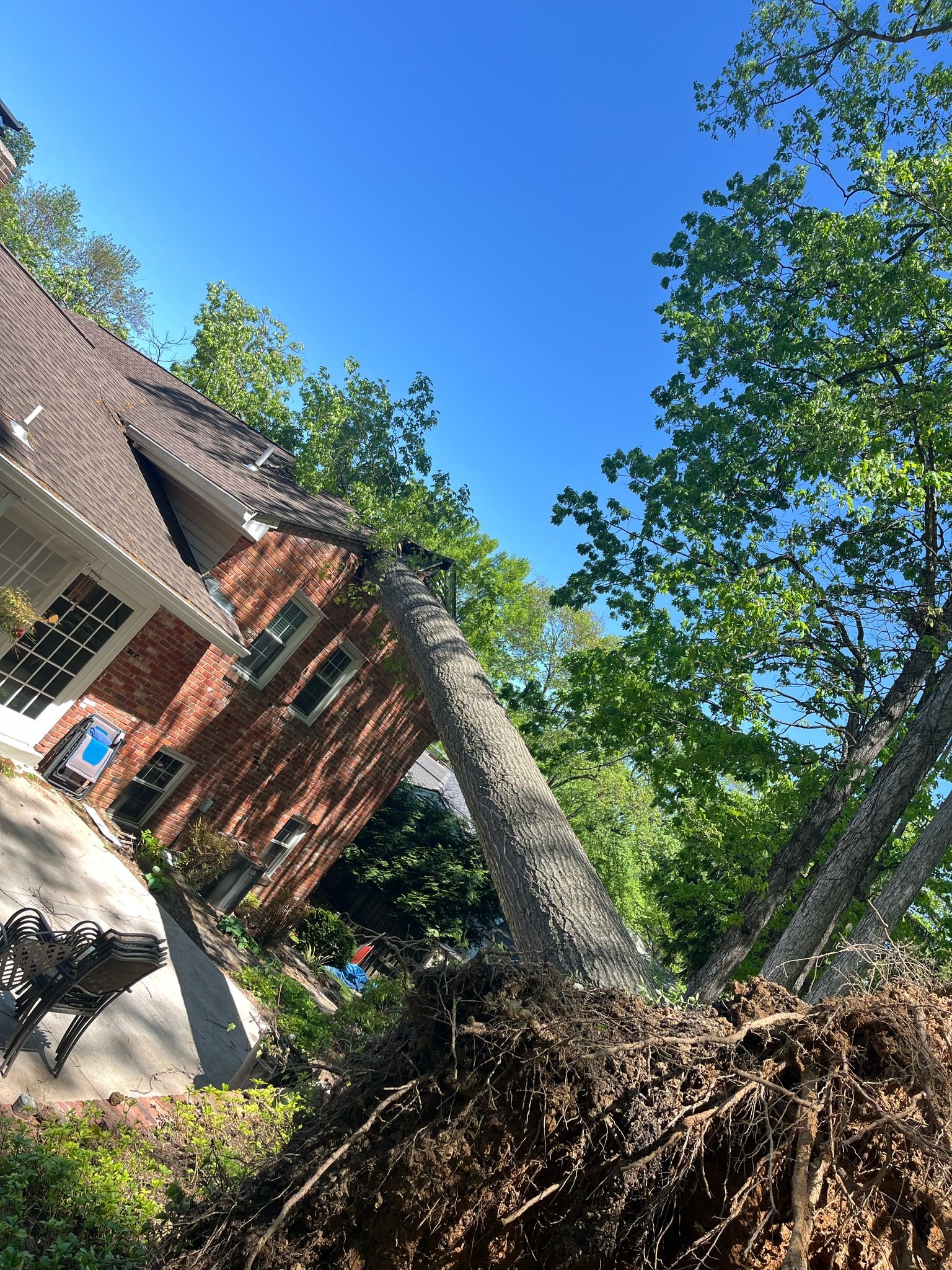 Tree fallen on a Warrenton VA property after a storm, before removal