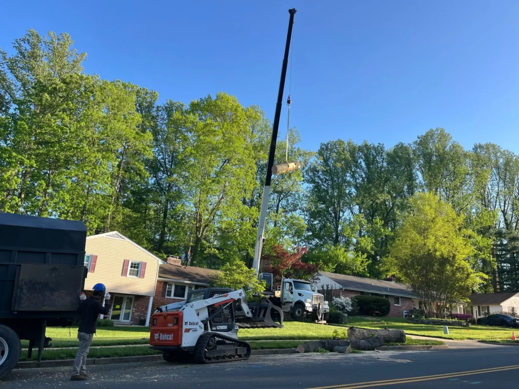 warrenton tree removal crane