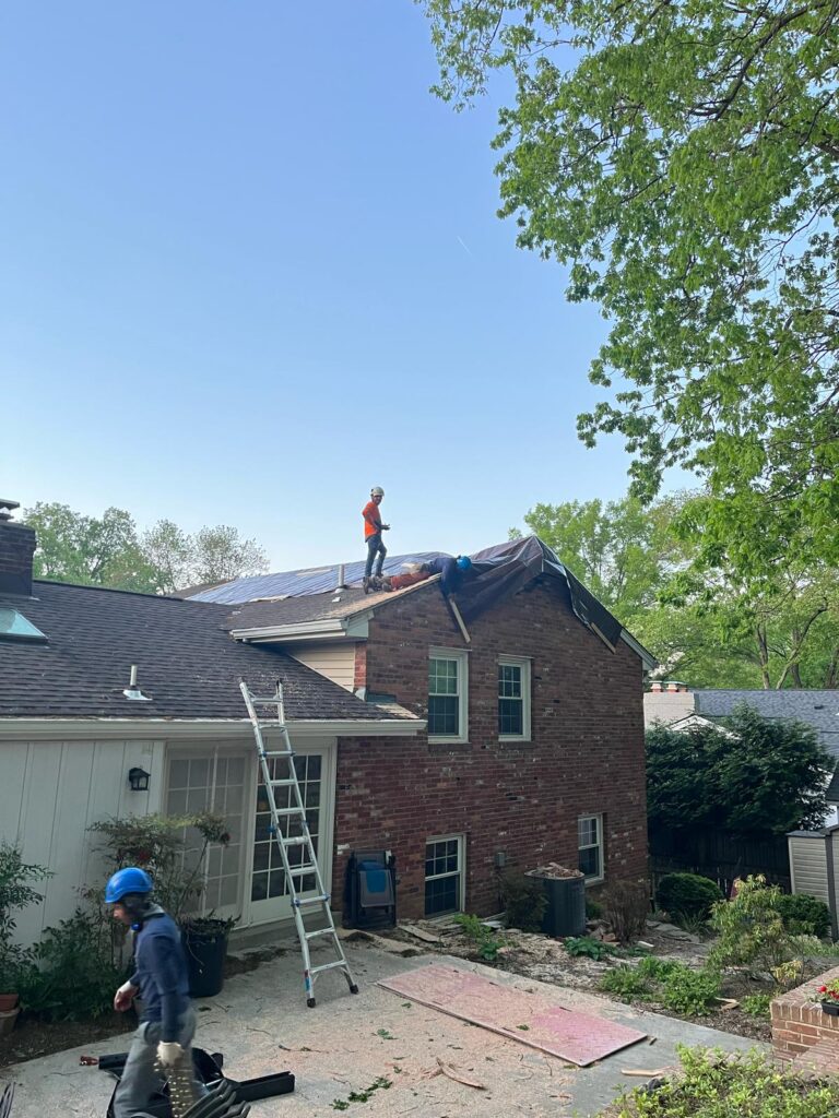 remove tree on roof