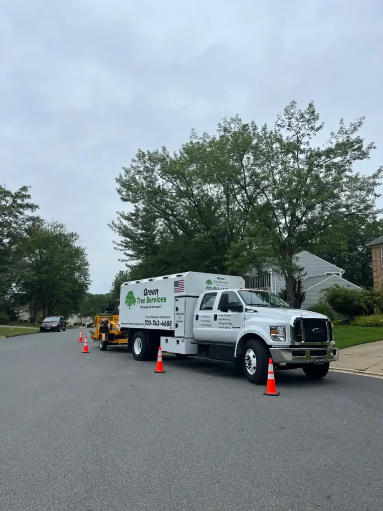 Tree services vienna