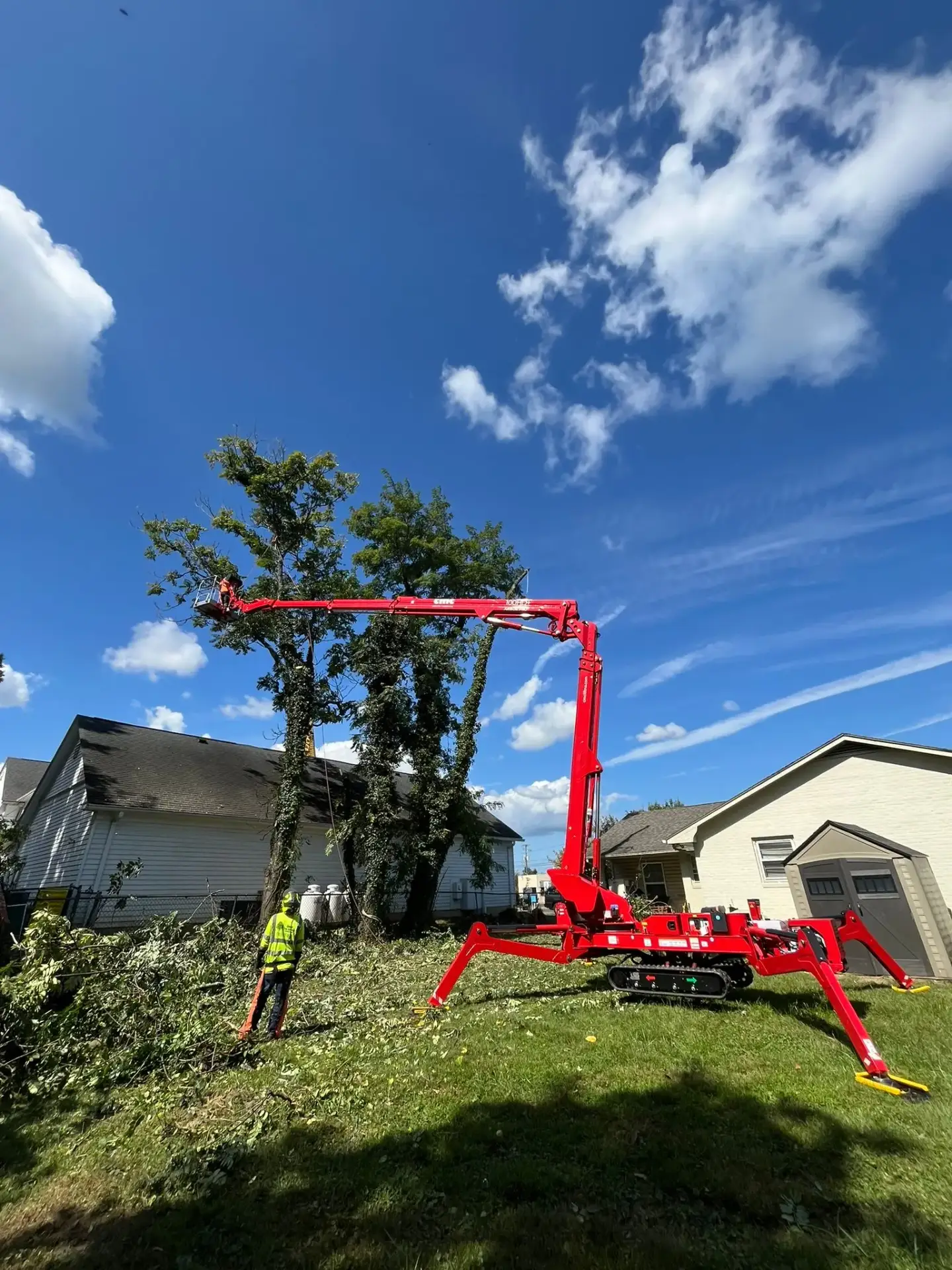 Tree trimming and pruning crew at work in Warrenton VA