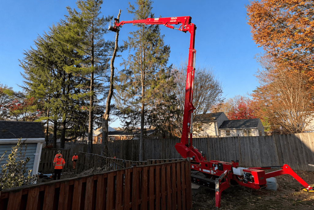 Tree removal Warrenton VA using crane-assisted equipment for large tree removal
