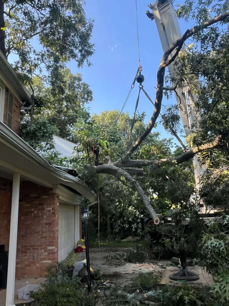 Emergency Tree services with Crain