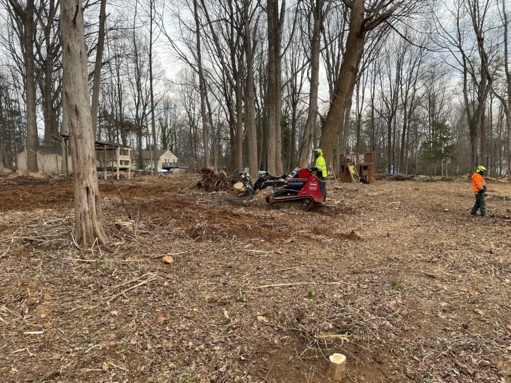 land clearing proffesional warrenton va