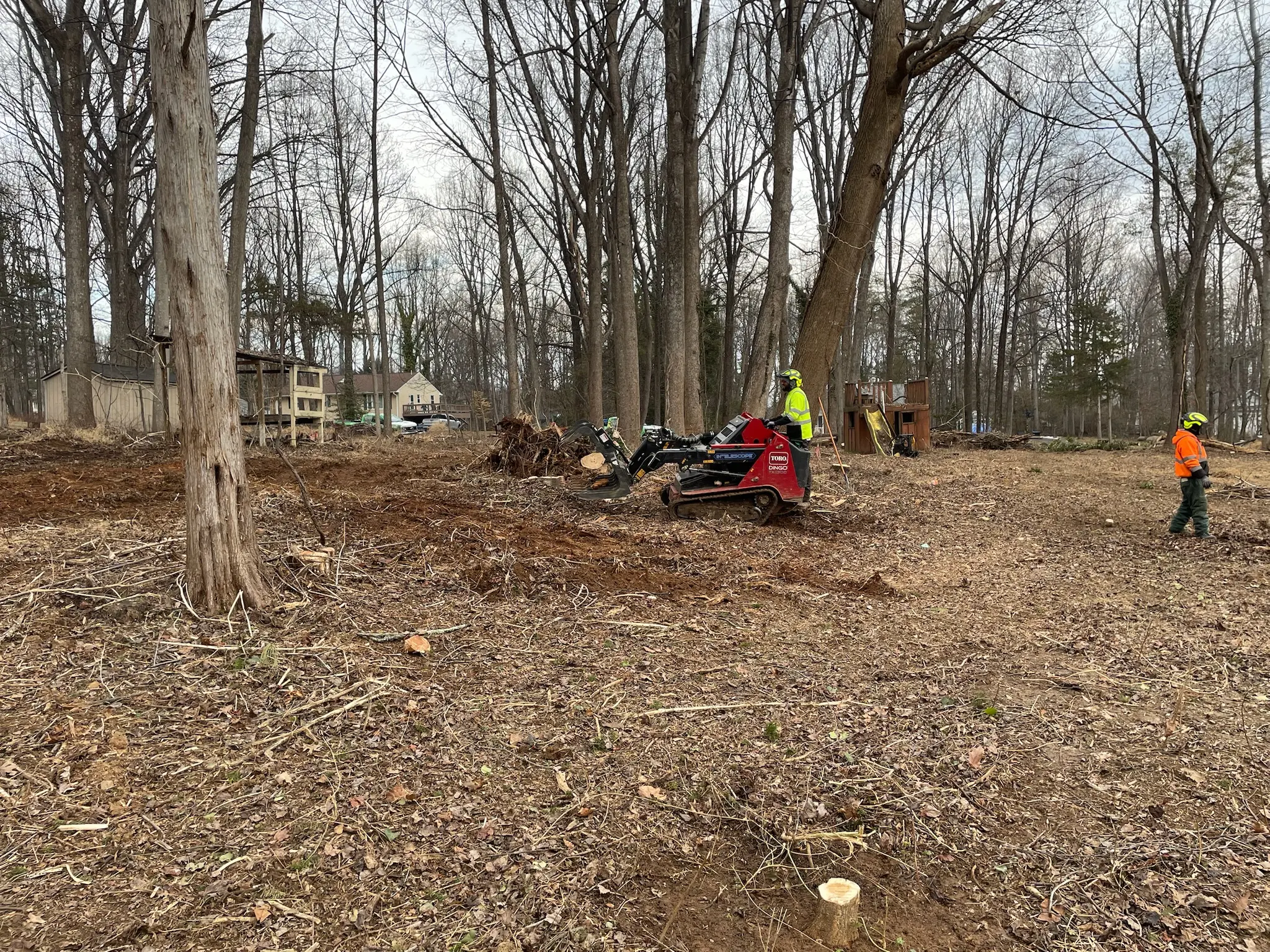 Professional land clearing crew and equipment in Warrenton VA