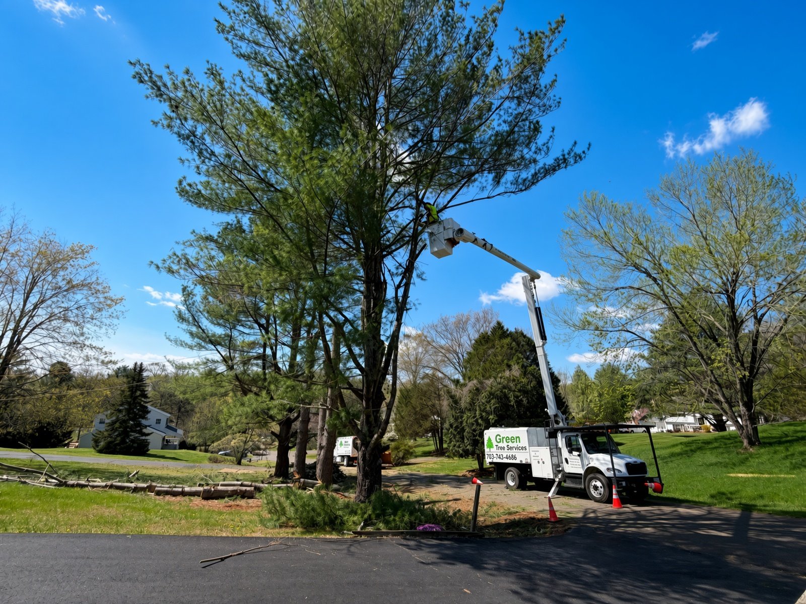 Bucket truck tree trimming in Warrenton VA
